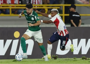 Cesar Greco/Palmeiras
