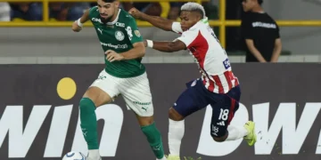 Cesar Greco/Palmeiras