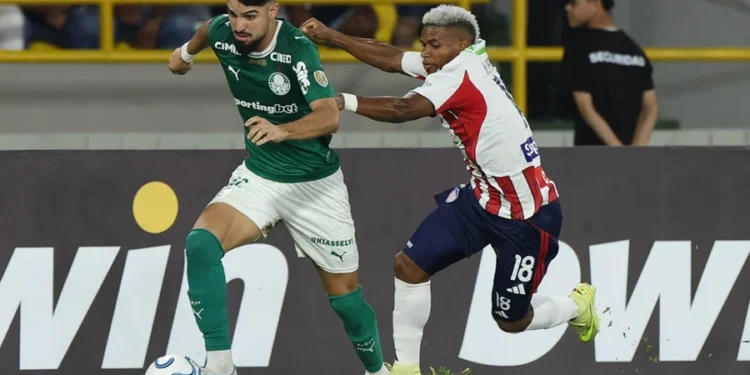 Cesar Greco/Palmeiras