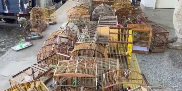 Divulgação/ PRF SE