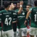 Cesar Greco/Palmeiras