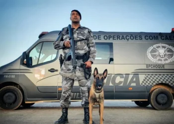 Imagem Ilustrativa - Foto: Ascom GOC