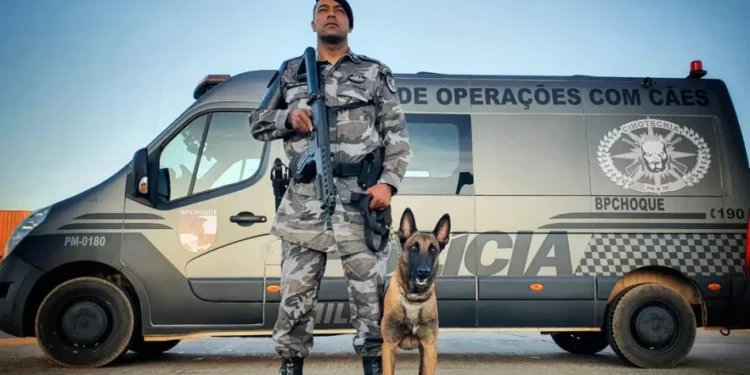 Imagem Ilustrativa - Foto: Ascom GOC