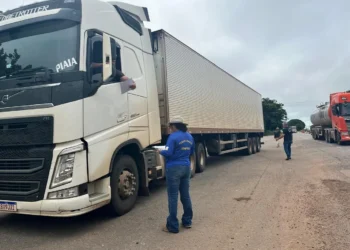 Inspetores e fiscais de defesa agropecuária verificaram as cargas, conferiram a documentação e prestaram orientações sobre a legislação vigente. - Foto - Divulgação Adapec