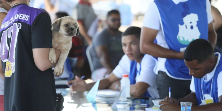 Foto: Edu Fortes