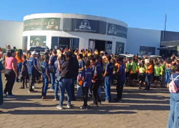 Campanha é realizada em todo o país e busca mobilizar a sociedade para o enfrentamento à violência sexual contra crianças e adolescentes - Foto: Divulgação SSP/TO