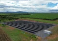 Foto: Thiago Rodrigues/Governo do Tocantins