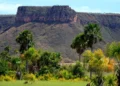 ocantins lidera o crescimento em sustentabilidade ambiental no país entre 2023 e 2025, segundo o Ranking de Competitividade dos Estados, resultado de políticas públicas integradas, modernização da gestão e ações voltadas à preservação dos biomas Cerrado e Amazônia (Crédito foto:Fernando Alves/Governo do Tocantins)
