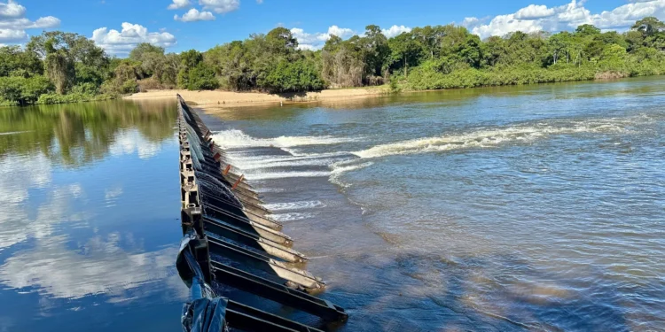 Com a Portaria nº 86/2026, SIAA é instituído como a nova plataforma oficial e obrigatória para o gerenciamento remoto de dados de captação de água na bacia hidrográfica do rio Formoso