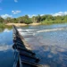 Com a Portaria nº 86/2026, SIAA é instituído como a nova plataforma oficial e obrigatória para o gerenciamento remoto de dados de captação de água na bacia hidrográfica do rio Formoso