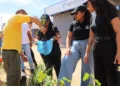 Foram disponibilizadas mais de 150 mudas de baru, jatobá, jacas e buriti - Vinicius Venâncio/Governo do Tocantins