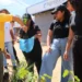 Foram disponibilizadas mais de 150 mudas de baru, jatobá, jacas e buriti - Vinicius Venâncio/Governo do Tocantins