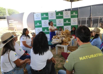 Equipe do Naturatins orientou artesãs sobre a lei que institui Política Estadual de Uso Sustentável do Capim-Dourado e do Buriti - Foto: Vinicius Venâncio/Governo do Tocantins