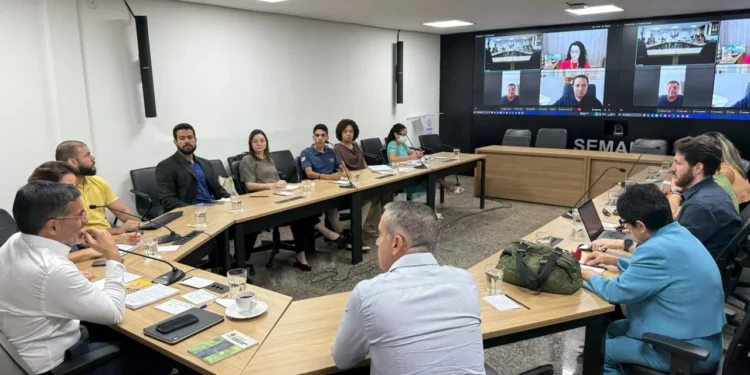 Encontro reuniu representantes de órgãos estaduais e instituições parceiras, além de contar com a participação online de representantes de Goiás.Luiza Caetano/Governo do Tocantins