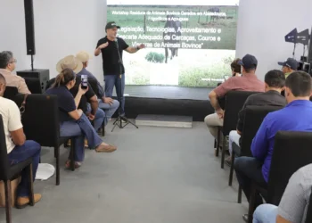 Secretário Marcello Lelis enfatizou que o papel do Estado é articular, junto aos municípios, iniciativas mais sustentáveis. - Foto: Marcel de Paula/Governo do Tocantins
