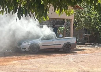 Foto: Divulgação PCTO