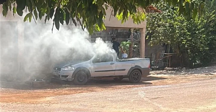 Foto: Divulgação PCTO