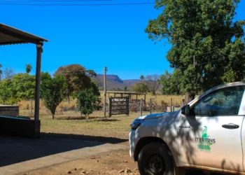 Foto: Uendel Souza / Governo do Tocantins.