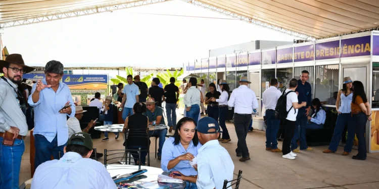 Mais de 5 mil visitantes passaram pelo estande da Adapec na Agrotins 2026