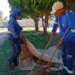 Foto: Divulgação Zeladoria
