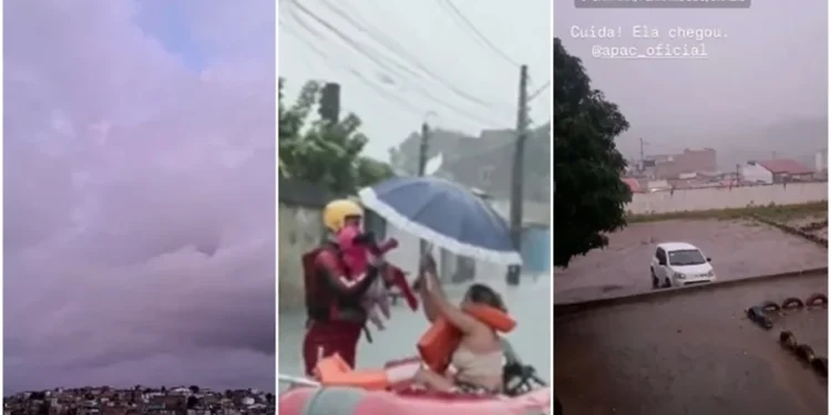 Reprodução redes sociais