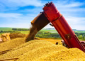 De acordo com o IBGE, a taxa da Agropecuária pode ser explicada pelo crescimento de produção e ganho de produtividade da agricultura — Foto: Antônio Neto/Embrapa