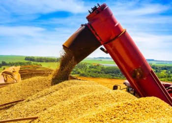 De acordo com o IBGE, a taxa da Agropecuária pode ser explicada pelo crescimento de produção e ganho de produtividade da agricultura — Foto: Antônio Neto/Embrapa