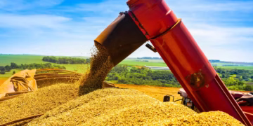 De acordo com o IBGE, a taxa da Agropecuária pode ser explicada pelo crescimento de produção e ganho de produtividade da agricultura — Foto: Antônio Neto/Embrapa