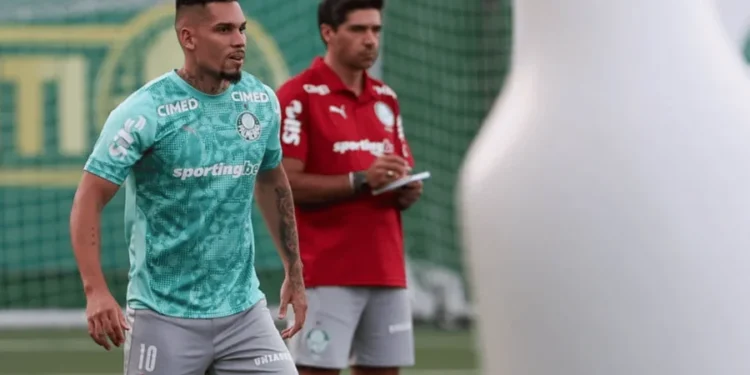 Cesar Greco/Palmeiras/by Canon