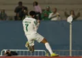 Cesar Greco/Palmeiras/by Canon