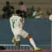 Cesar Greco/Palmeiras/by Canon