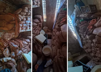 Sacos com areia retirada da escavação estavam dentro da cela — Foto: Alta Tensão TO