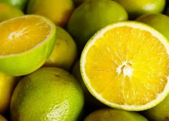 Foto: Ceagesp / Divulgação