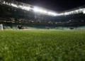 Alexandre Schneider/Getty Images)