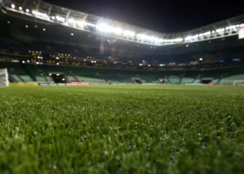 Alexandre Schneider/Getty Images)
