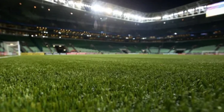 Alexandre Schneider/Getty Images)