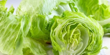 Foto: Creative commons