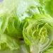 Foto: Creative commons