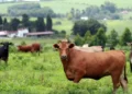Foto: AEN/Arquivo