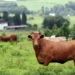 Foto: AEN/Arquivo
