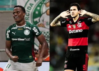 Cesar Greco/Palmeiras; Gilvan de Souza/Flamengo