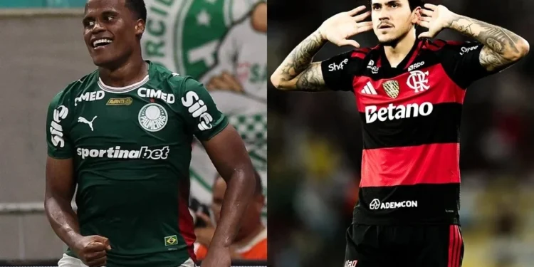 Cesar Greco/Palmeiras; Gilvan de Souza/Flamengo