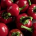 Foto: Getty Images Pro/Canva