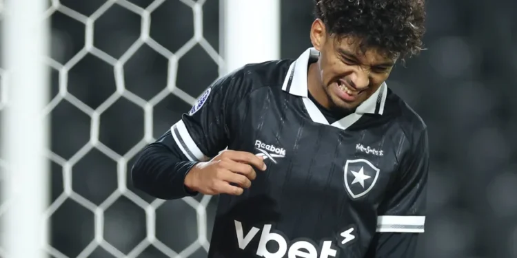 Vítor Silva/Botafogo