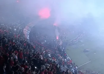 Reprodução/Transmissão