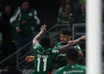 Cesar Greco/Palmeiras