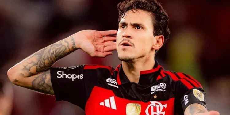 ADRIANO FONTES /FLAMENGO