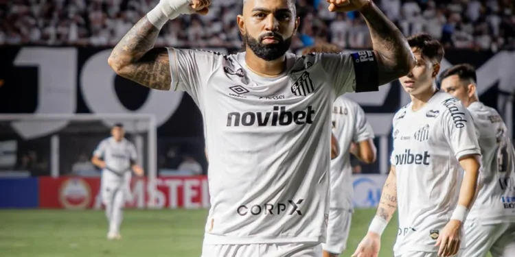 @RaulBaretta_Photo / Santos FC