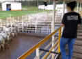 Concurso nacional unificado aprovou 550 profissionais em 2025 — Foto: Anffa Sindical