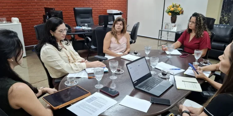 A reunião faz parte do monitoramento de programas, projetos e obras prioritárias do Governo do Estado coordenado pela Casa Civil. - Foto: Gabrielle Farias/Governo do Tocantins